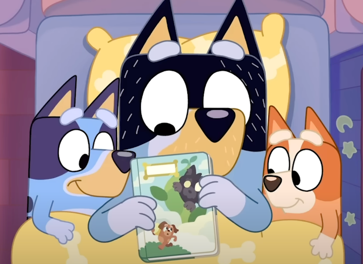 Story Time Play with Bluey